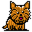 A Terrier is a breed of dog that originated in Yorkshire, England.