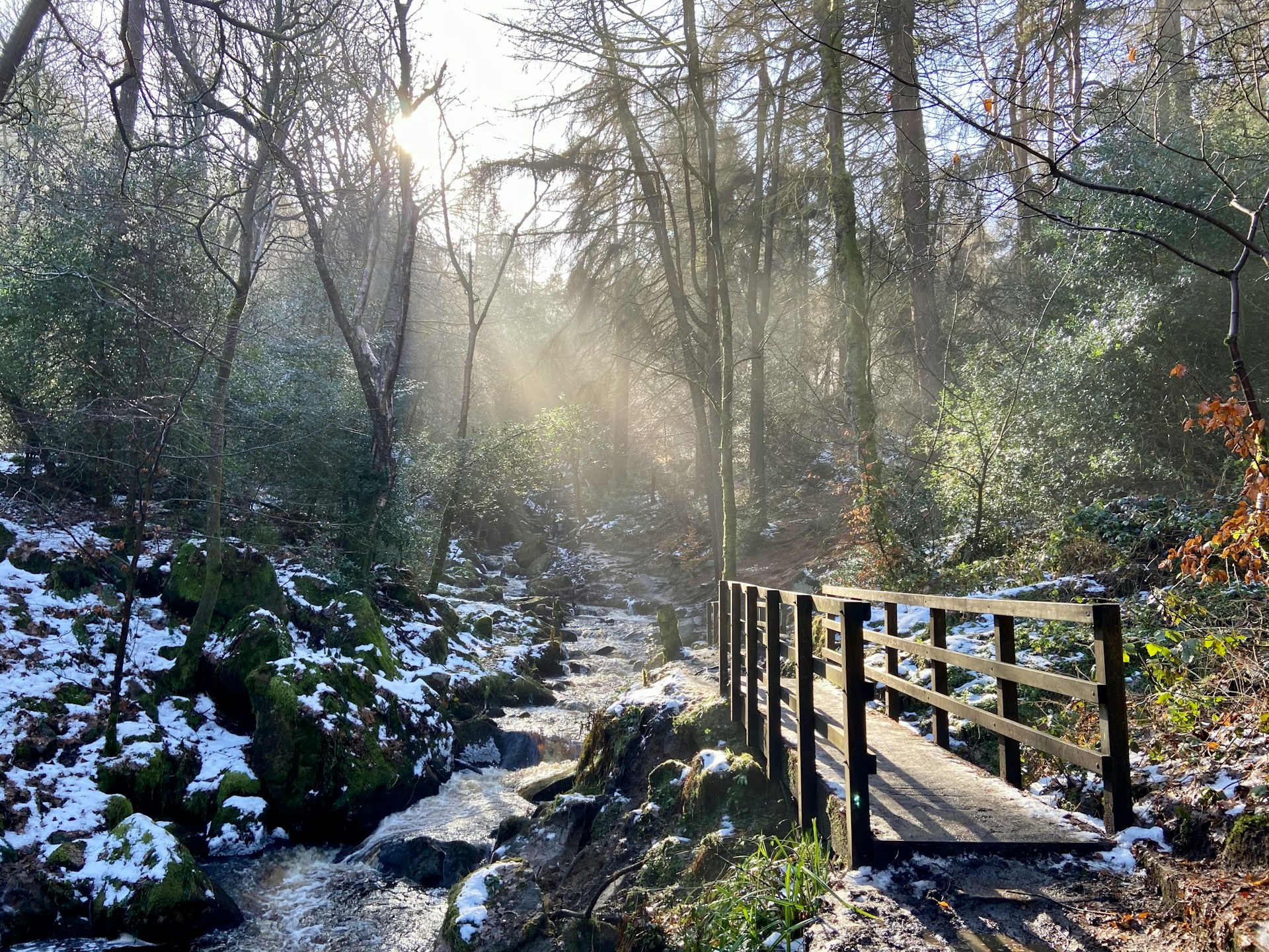 Wymingbrook Nature Reserve, Sheffield
